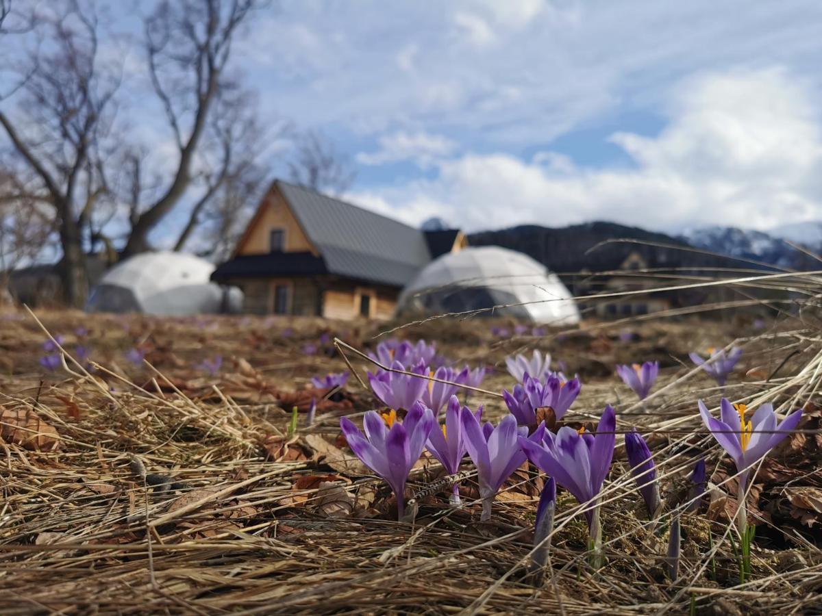 Hotel Glamp Siedlisko Kościelisko Esterno foto